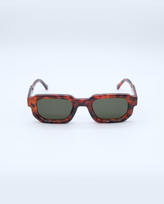 SPRING ONE BROWN SUNGLASSES