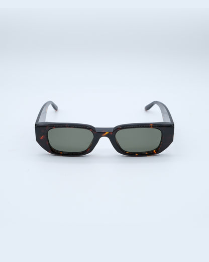SPRING TWO BROWN SUNGLASSES