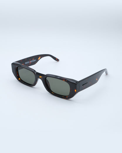 SPRING TWO BROWN SUNGLASSES